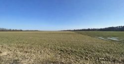 2 działki budowlane w Gałkówku pod Łodzią