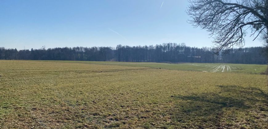 2 działki budowlane w Gałkówku pod Łodzią