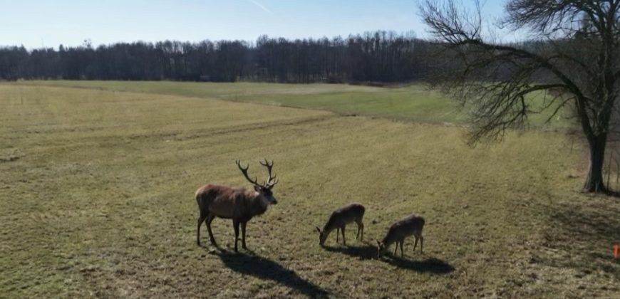 2 działki budowlane w Gałkówku pod Łodzią